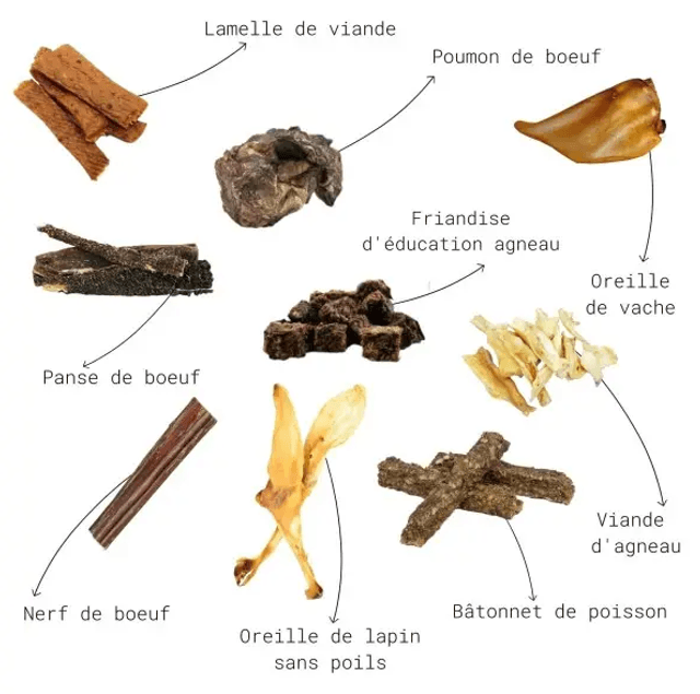 Pack mastication découverte