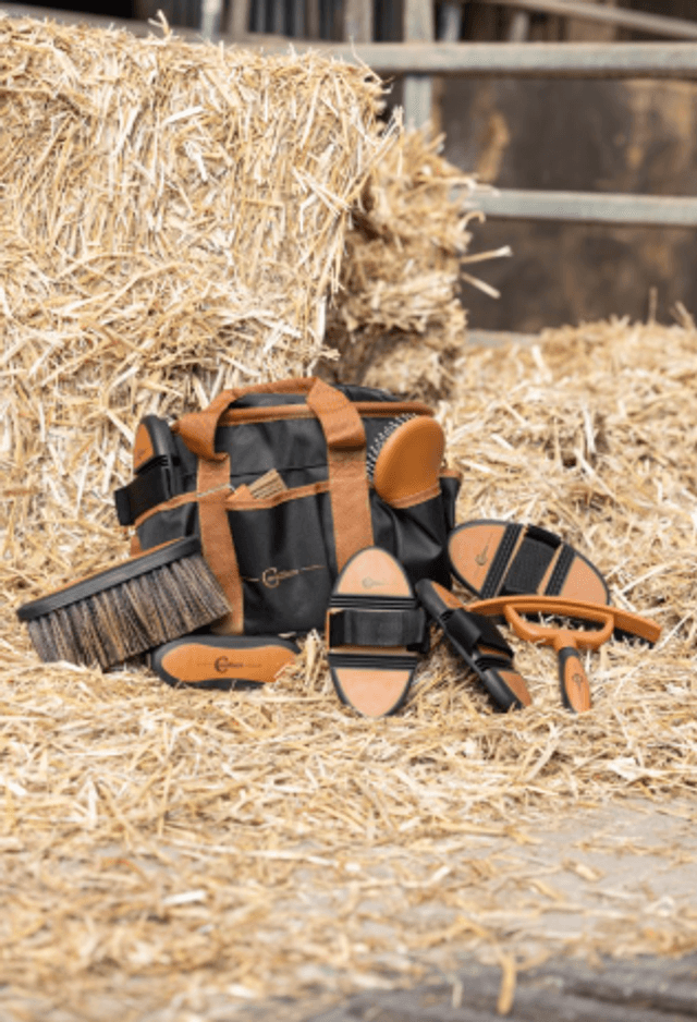Sac de pansage