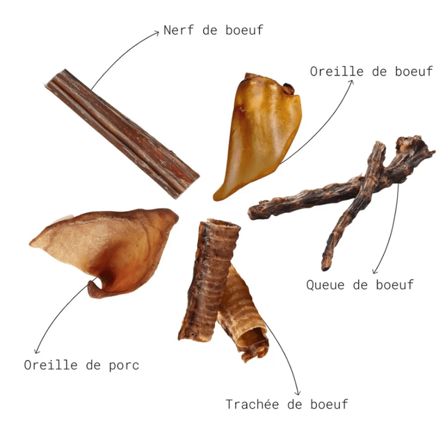 Box mix friandises séchées mastication super résistante