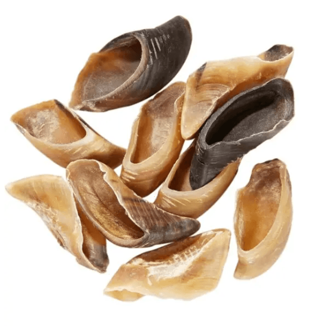 Sabot de veau