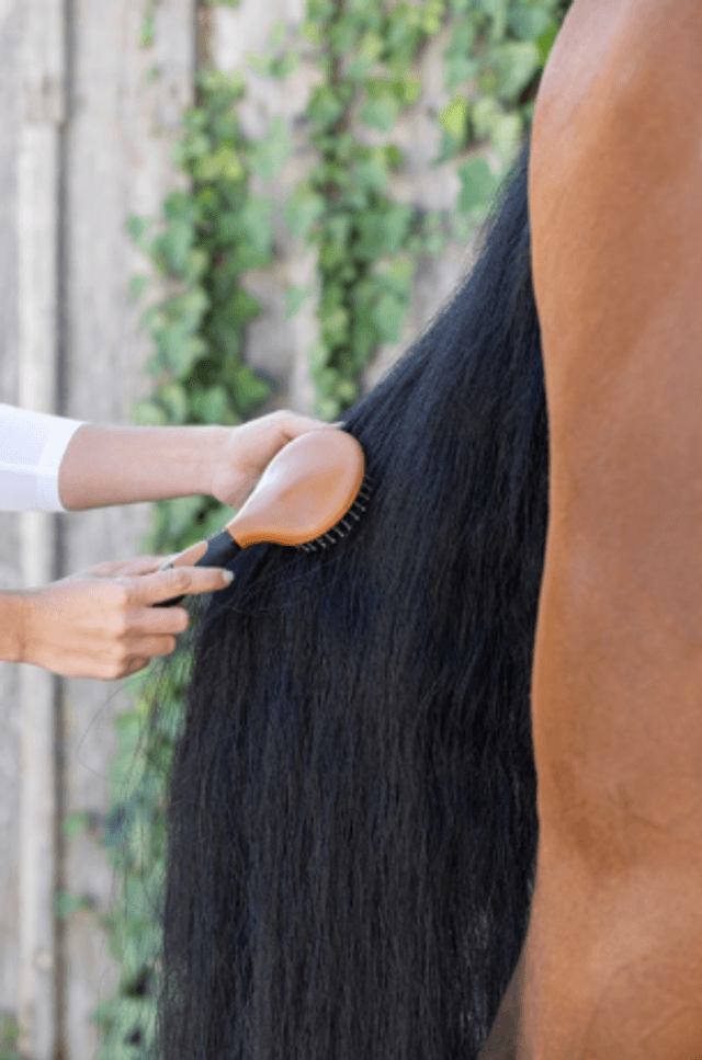 Covalliero Brosse à crinière 2K