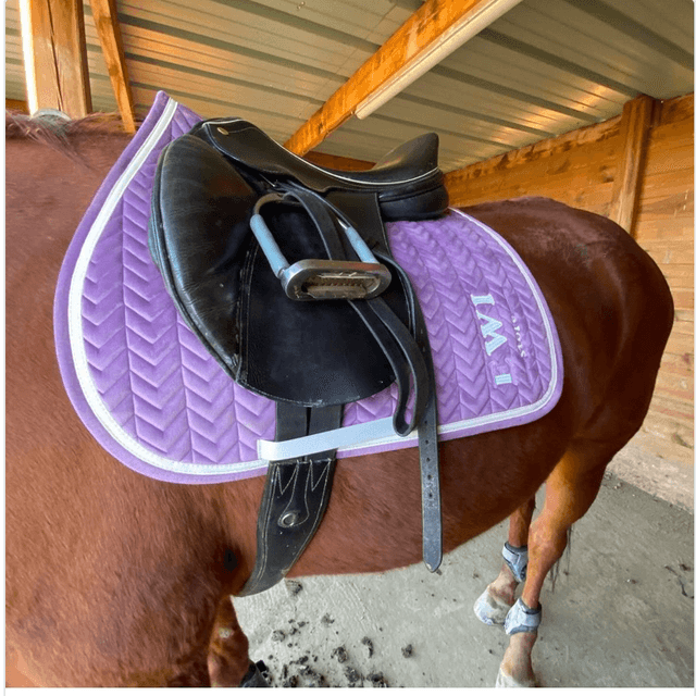 Tapis ewi lilas