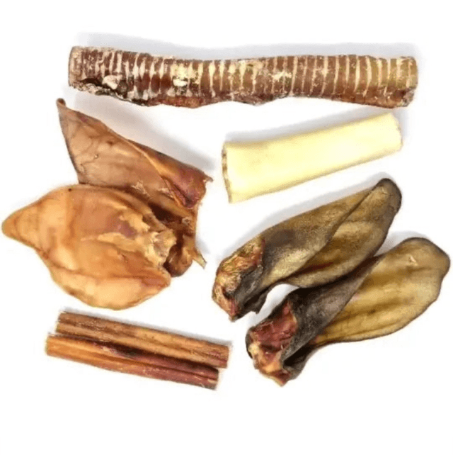 Box mix friandises séchées mastication super résistante