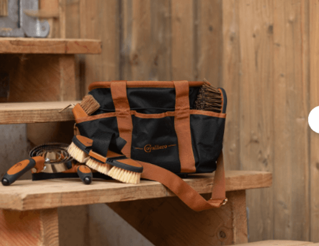 Sac de pansage