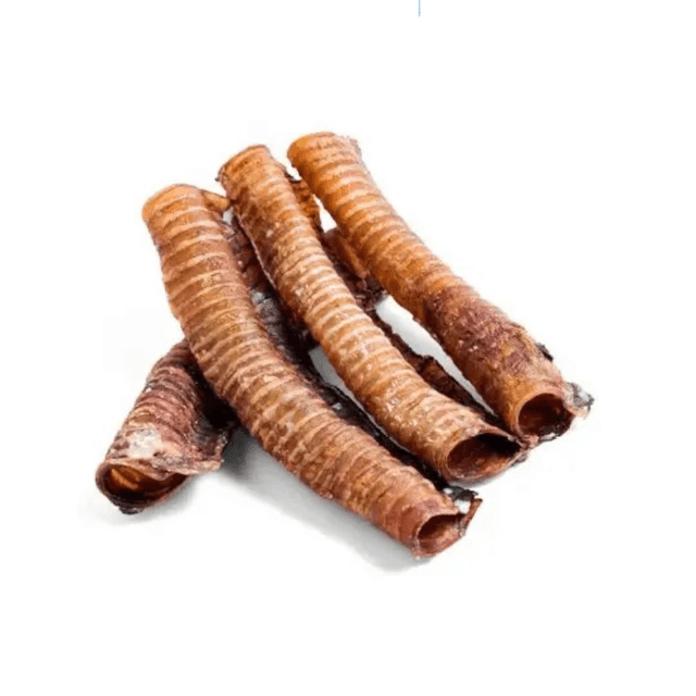 Trachée de bœuf 30cm