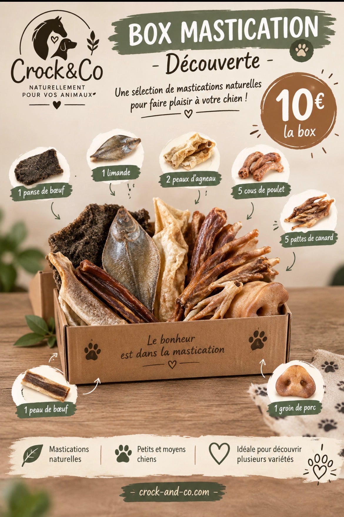 boxe de octobre pour chien