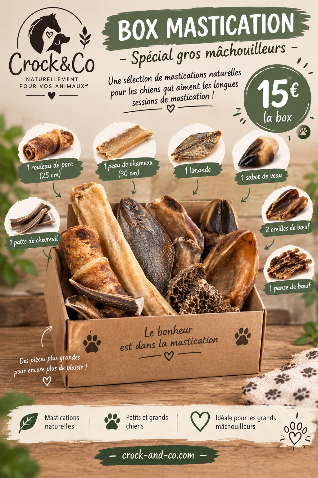 boxe de octobre pour chien