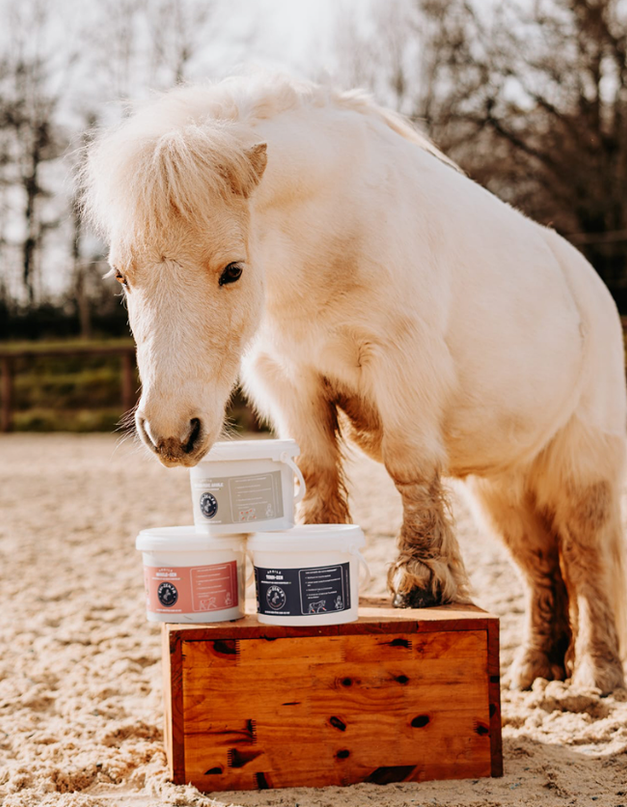 TENDI-ZEN – Cataplasme d’argile pour chevaux Effet rafraichissant