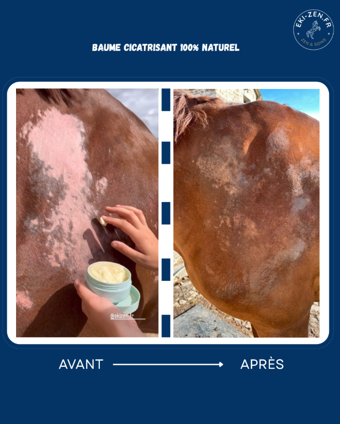 BOBO-ZEN baume cicatrisant