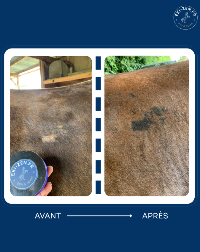 BOBO-ZEN baume cicatrisant