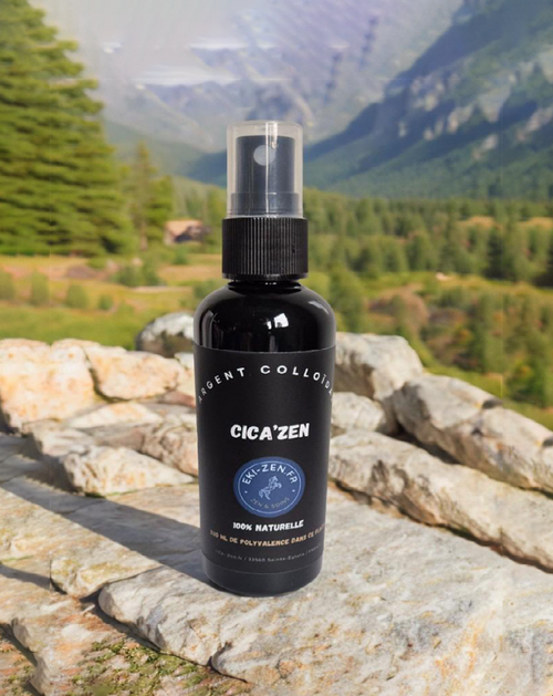 CICA-ZEN spray cicatrisant cheval