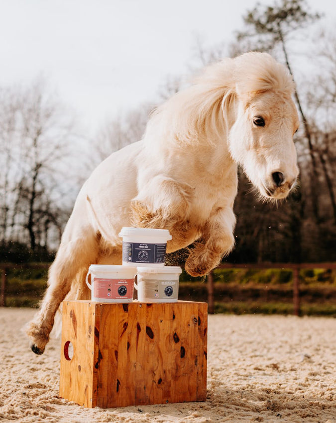 MUSCLE-ZEN – Cataplasme d’argile soulage muscles et articulations