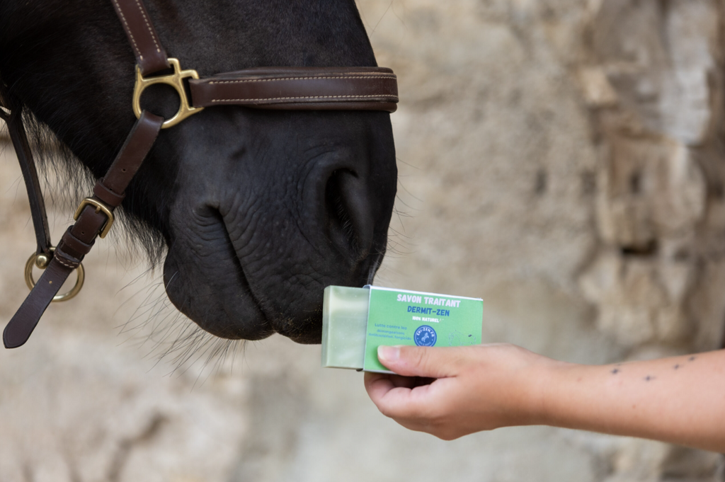 SAVON TRAITANT AU TEA TREE PROBLEME DE PEAU CHEVAUX