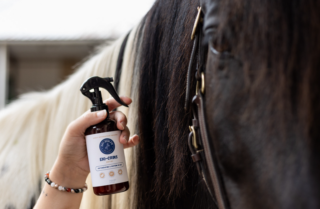SOIN CRINIERES CHEVAL EKI-CRINS