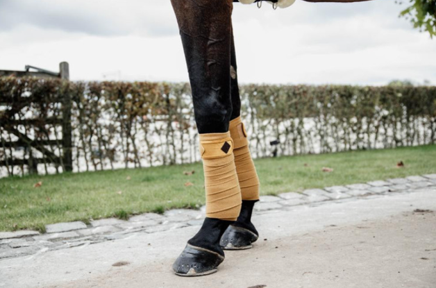 Bandes de polo Polar Fleece Velvet Kentucky