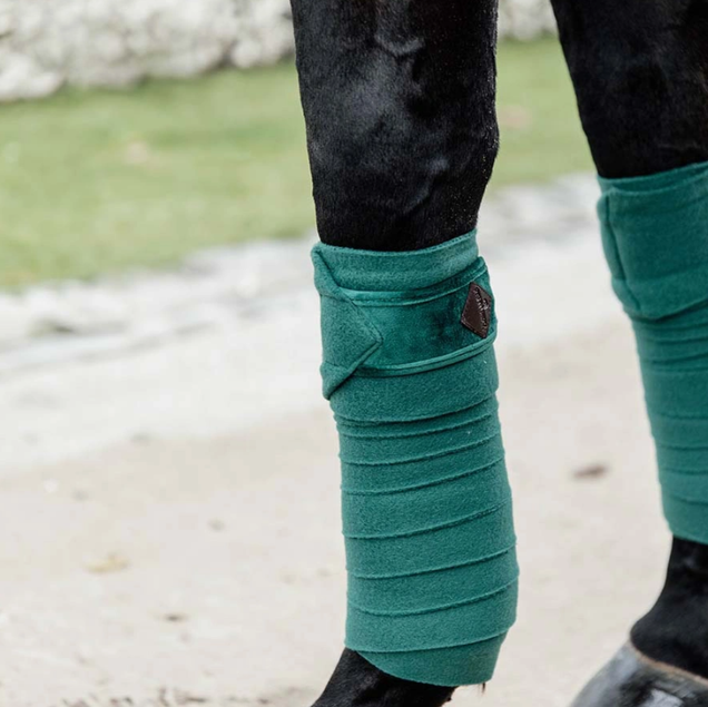 Bandes de polo Polar Fleece Velvet Kentucky