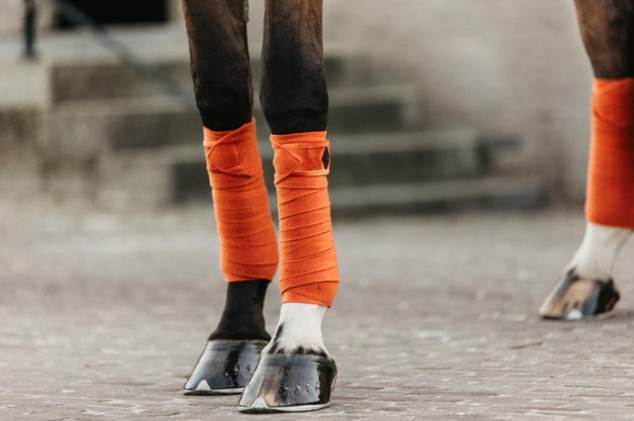 Bandes de polo Polar Fleece Velvet Kentucky
