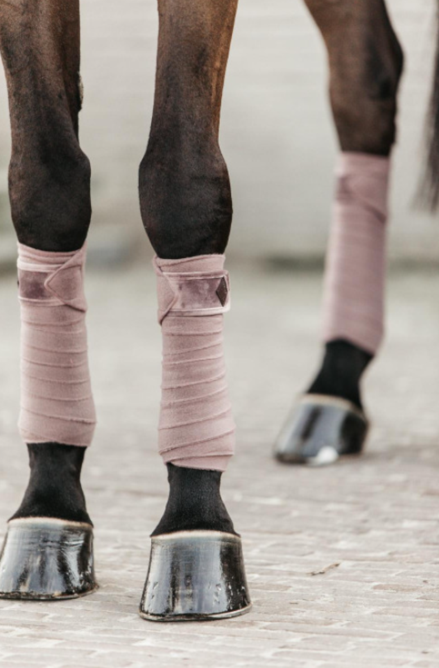 Bandes de polo Polar Fleece Velvet Kentucky