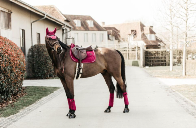 Bandes de polo Polar Fleece Velvet Kentucky