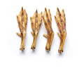 Pattes de canard