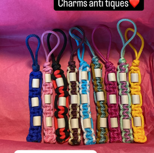 Charms anti tique 9,50 €