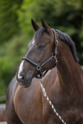Licol mustang-Covalliero