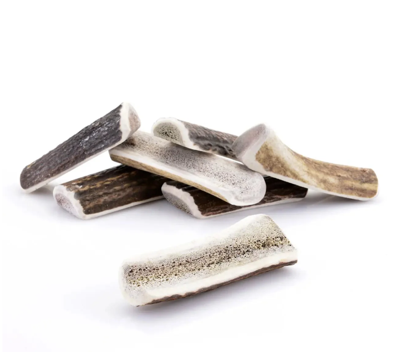 Bois de cerf tranchée