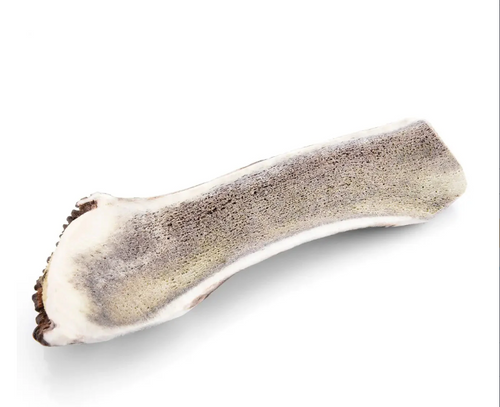 Bois de cerf tranchée