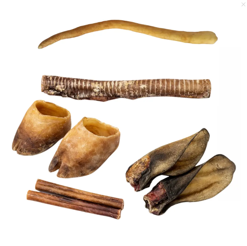 Box super résistante pour gros mâcheurs