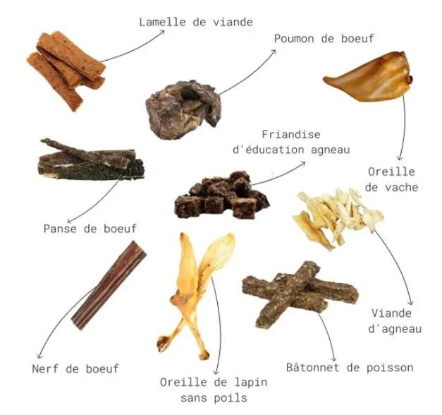 Pack mastication découverte