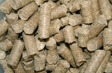 Delizia® Friandises pour chevaux pomme
