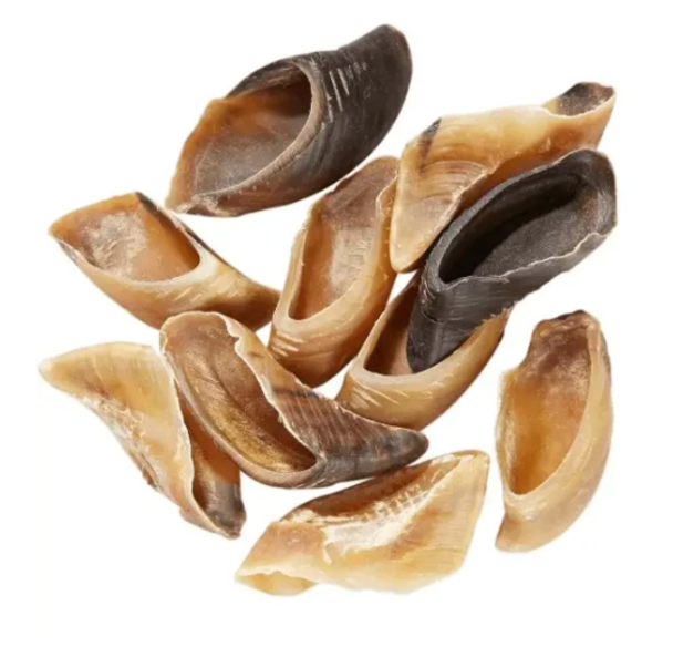Sabot de veau