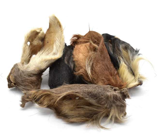 Oreille de bœuf avec poils