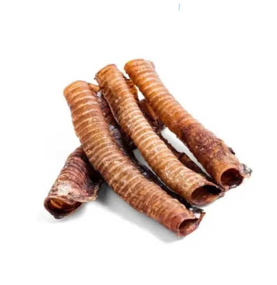 Trachée de bœuf