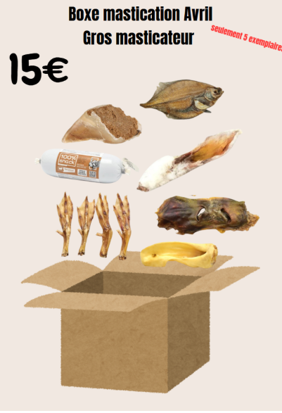 boxe d'avril pour chien