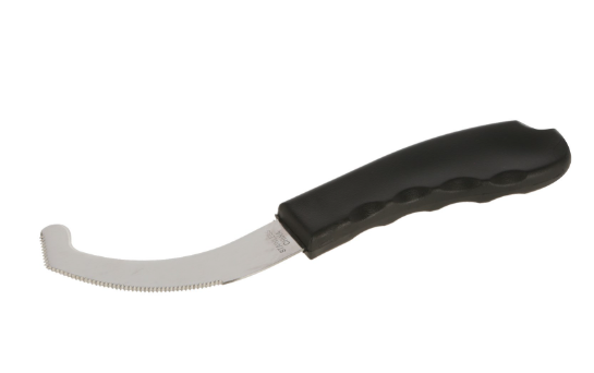 Couteau à œufs de mouche