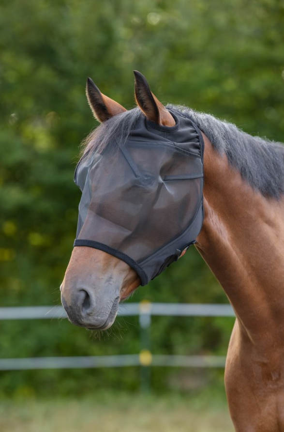 Masque anti-mouches