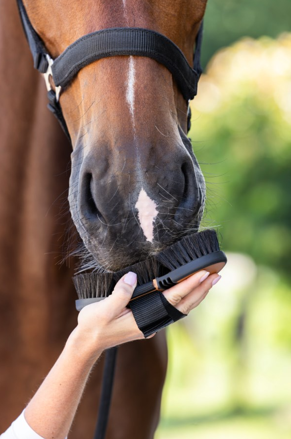 Covalliero Flex HorseHair 2K
