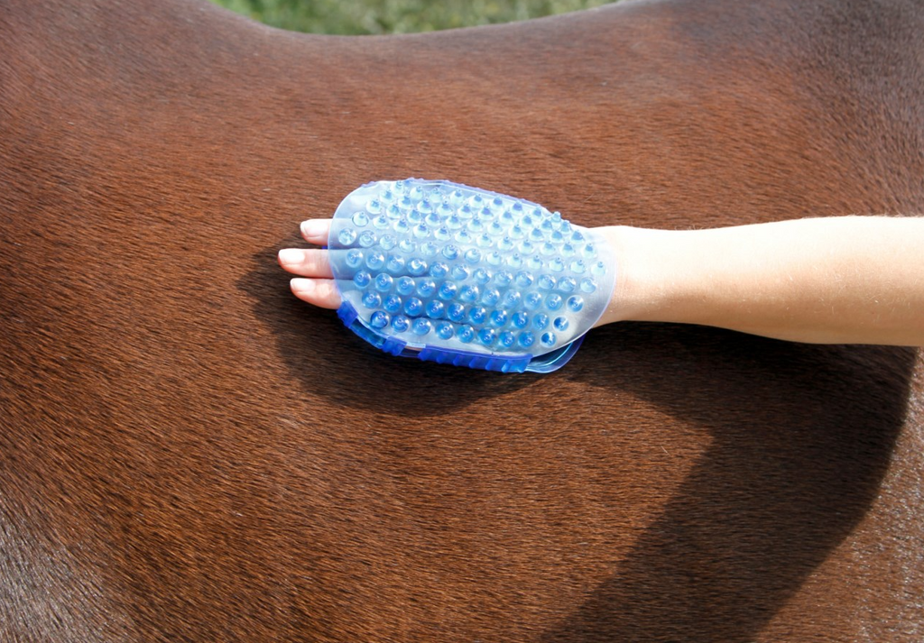 Étrille de massage magnétique
