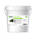CHLORELLE – Détox et immunité cheval – Algue pure