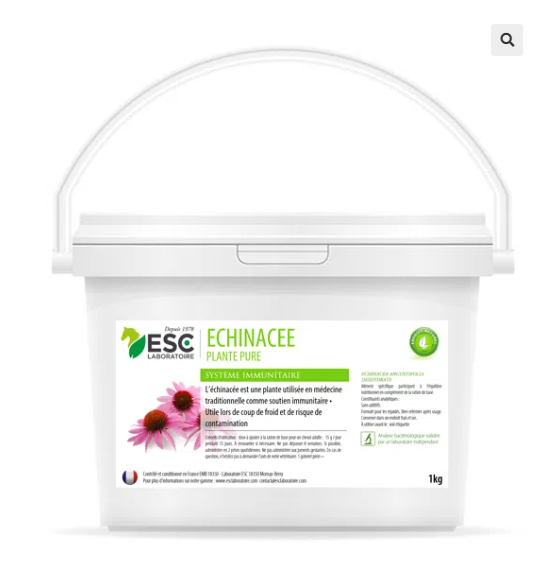 ECHINACEE – Défenses immunitaires cheval – Plante pure