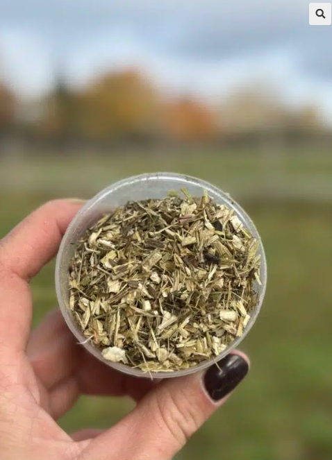 ECHINACEE – Défenses immunitaires cheval – Plante pure