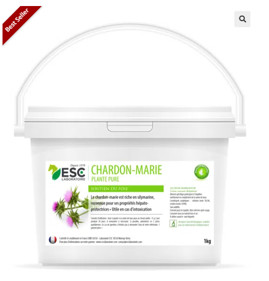 CHARDON-MARIE – Détox foie cheval – Plante pure
