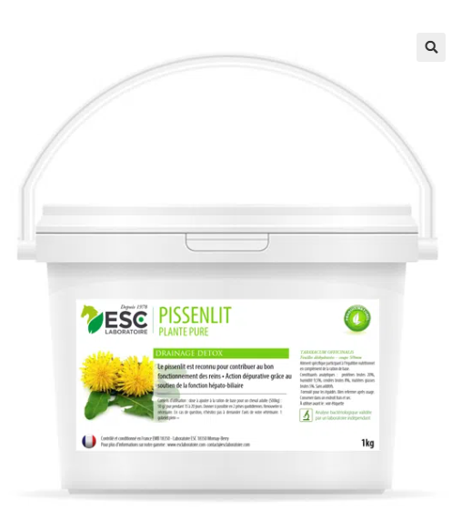 PISSENLIT – Action dépurative et détox cheval – Plante pure