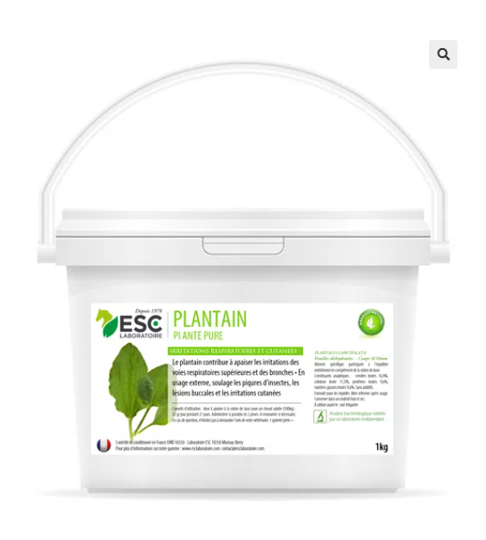 PLANTAIN – Respiration et irritations cutanées cheval – Plante pure