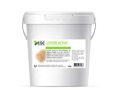 LEVURE ACTIVE + – Probiotique cheval – flore intestinale et digestion