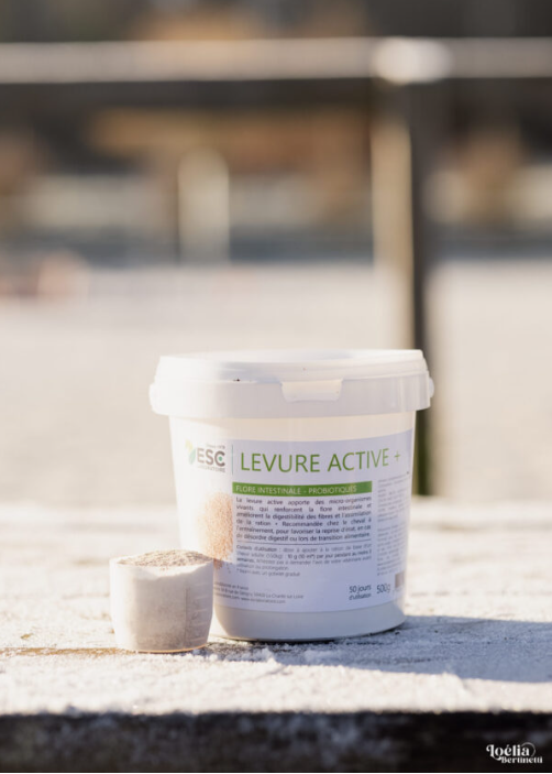 LEVURE ACTIVE + – Probiotique cheval – flore intestinale et digestion