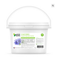 CHICOREE – Digestion du cheval et flore intestinale – Plante pure