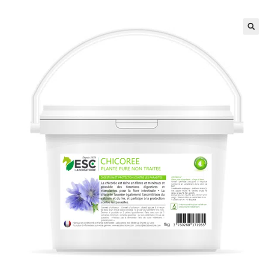 CHICOREE – Digestion du cheval et flore intestinale – Plante pure