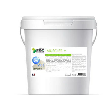 MUSCLE + – Vit E, sélénium, lysine et spiruline – Soutien et récupération musculaire cheval